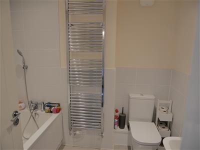 Picture 21